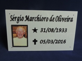 Placa Lpide com foto 50x30